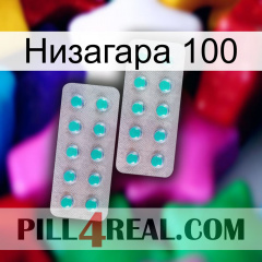 Низагара 100 29